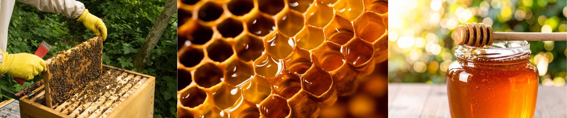 Honey beekeeping