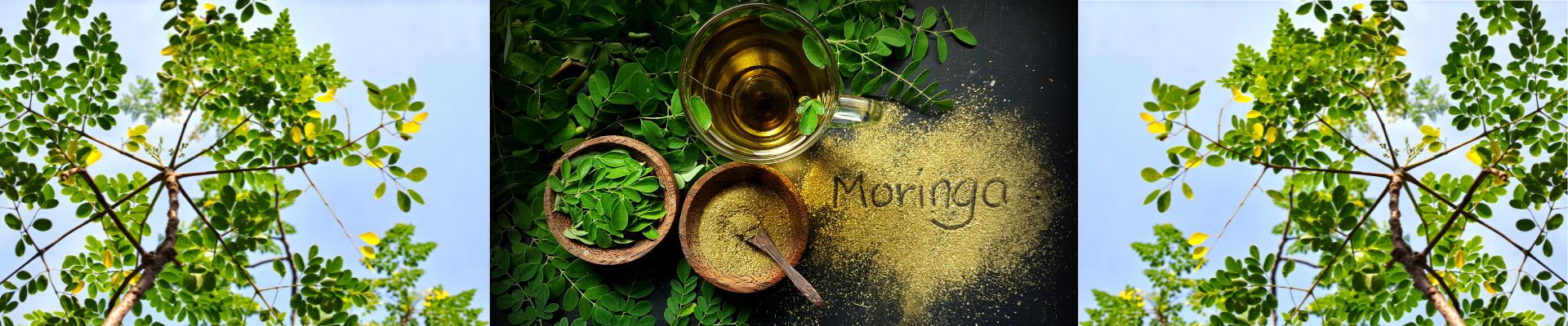 Moringa